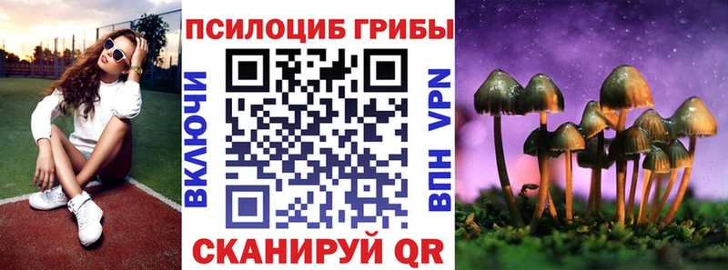где найти наркотики  Сорск  Псилоцибиновые грибы прущие грибы 